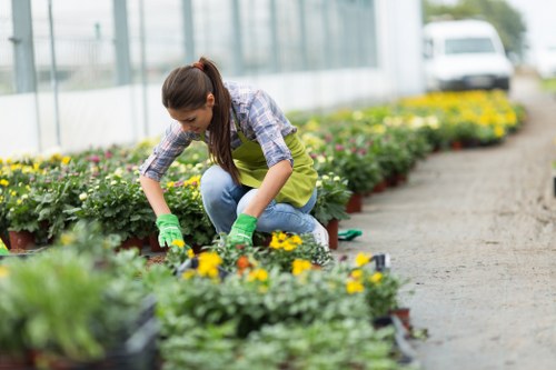 A young woman with long brown hair tied back, wearing a plaid shirt, blue jeans, and green gardening gloves, is kneeling on a gravel pathway in a greenhouse or nursery environment. She is tending to a row of vibrant flowering plants, including yellow and purple blooms, arranged in black plastic pots along a neat border. Behind her, there are larger containers with lush green foliage, and to the right, a line of flowering plants extends along the greenhouse benches. The space is well-lit with natural sunlight filtering through a glass roof, creating reflections on the plants and ground. The background features a white van and indistinct greenhouse structures, indicating an outdoor or commercial gardening setting typical of Richmond's landscaping services. This scene exemplifies professional garden maintenance and planting activity that Landscapers Richmond might provide for clients in the Richmond area, emphasizing quality outdoor greenery care and garden development.