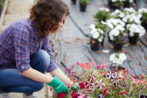 A woman wearing a purple checked shirt, blue jeans, and green gardening gloves is tending to a garden bed filled with colorful flowering plants, including pink, purple, and white blooms. She is bent over, carefully planting or weeding among the vibrant flowers. The garden is part of an outdoor landscaped area, featuring a mixture of flower beds with well-maintained soil and lush plants, bordered by paving stones or gravel. In the background, additional potted plants with white flowers are visible, arranged in a neat and organized manner. The scene suggests a well-kept garden space, possibly in a residential backyard or community garden, with natural daylight illuminating the scene under a slightly overcast sky, highlighting the rich colours and textures of the plants. This image naturally supports gardening and landscaping services in Richmond, reflecting professional garden maintenance and planting work by companies such as Landscapers Richmond.