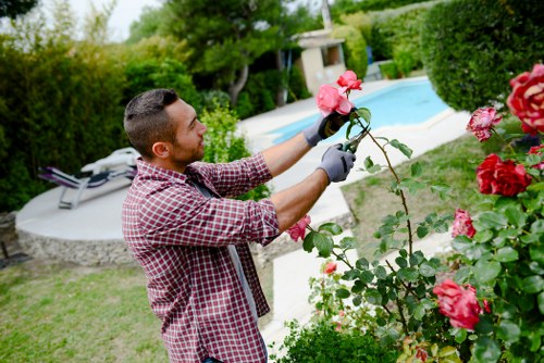 Professionals lopping tree branches in a Richmond residential area