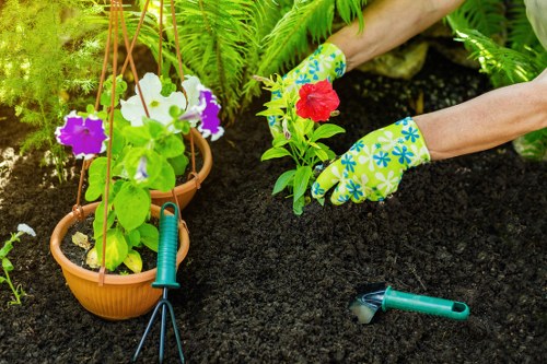 Professional planting services in Richmond for attractive residential landscapes