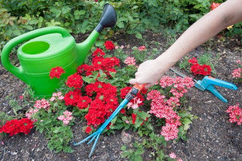 A close-up view of a garden bed in a backyard garden in Richmond, showing a variety of pink and red flowering plants with green foliage, bordered by dark, moist soil. A person's hand is seen gardening, using a small hand fork to tend to the plants. Nearby, a green plastic watering can with a black spout rests on the soil, indicating ongoing plant care. The scene is outdoors on a clear day, with natural lighting highlighting the vibrant colors of the flowers and the fresh, well-maintained soil. This image reflects typical gardening activities suitable for lawn and garden maintenance services offered by Landscapers Richmond, with a focus on flower bed upkeep within a landscaped outdoor space that could feature in garden or patio repair and related gardening solutions in Richmond postcodes.