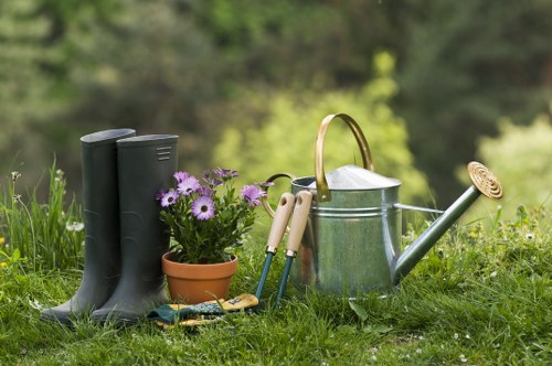 Seasonal landscaping services by Richmond experts