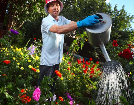 A man wearing a light blue shirt, blue gardening gloves, and a hat is watering vibrant flower beds in a garden, with a variety of colorful flowers including red, pink, yellow, and purple. The garden features lush greenery, including shrubs and small trees, with a neatly maintained lawn area and garden borders. The scene is outdoors on a bright, sunny day, with sunlight illuminating the plants and casting gentle shadows. This setting exemplifies typical garden maintenance practices, such as watering and caring for flowering plants, and highlights elements of landscape design that could benefit from professional gardening and landscaping services, including lawn care, planting, and outdoor space enhancement in Richmond or nearby areas.