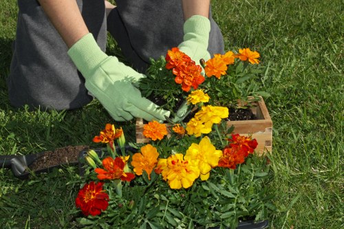 Seasonal tasks for garden maintenance in Richmond