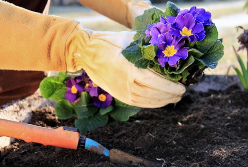 Diverse plant selection for Richmond landscaping