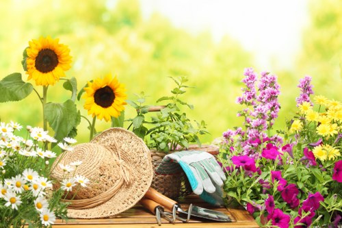 Custom deck design ideas for Richmond homes