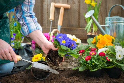 A gardener wearing a plaid shirt is planting a vibrant purple flowering plant into a prepared garden bed surrounded by various colourful potted flowers, including yellow, red, and white blooms. The scene is set outdoors in a backyard enclosed by a wooden fence, with gardening tools such as a trowel and watering can visible on a wooden work surface in the background. The soil appears freshly turned and rich, ready for planting, with the gardener’s hands gently placing the plant into the earth. The surrounding area features additional garden beds and young plants, suggesting a well-maintained outdoor space suitable for gardening and landscaping services in Richmond. Bright sunlight illuminates the scene, indicating good weather conditions, and the overall environment reflects a peaceful, productive garden setup focusing on flower planting and outdoor cultivation, typical of a residential garden in the Richmond area.