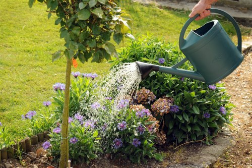A person watering a lush garden bed with purple, white, and brown flowers, and green foliage in a residential outdoor space. The garden features a well-maintained lawn with vibrant grass in the foreground, bordered by flower beds with a variety of blooming plants and dense shrubbery in the background. A young tree with a thin trunk is supported by a stake on the left side of the image. The garden is partially shaded by the canopy of nearby trees, with natural sunlight illuminating the scene, indicating a clear day. The watering can is dark green, and water is seen pouring onto the plants, suggesting regular garden maintenance by a landscaping professional. The setting is typical of a tidy, landscaped backyard in Richmond, designed to enhance outdoor enjoyment and visual appeal, with scope for further gardening and outdoor upkeep from companies like Landscapers Richmond.