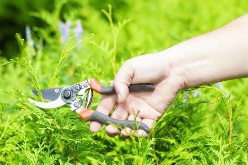 A close-up view of a person's hand using pruning shears to trim green foliage in a lush garden, with a well-maintained lawn in the background. The garden features dense, vibrant greenery with a mixture of shrubs and grass, and is located in a landscaped outdoor space typical of Richmond. The scene suggests ongoing garden maintenance to promote healthy growth, aligned with professional gardening and lawn care services offered by Landscapers Richmond, emphasizing natural textures, shades of green, and the importance of regular upkeep in outdoor garden environments.