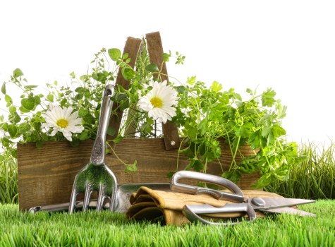 Clean and maintained garden space after clearance in Richmond