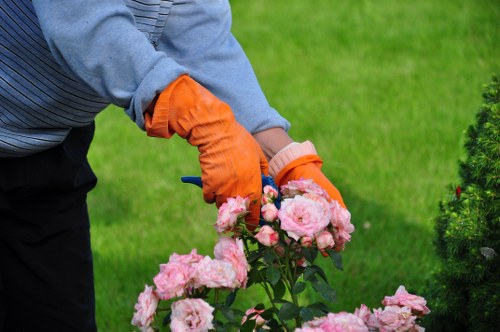 A person wearing an orange gardening glove and a grey long-sleeved shirt is pruning pink roses in a well-maintained garden with lush green grass and neatly trimmed hedges. The rose bushes are vibrant with blooming flowers, and the surrounding outdoor space includes a paved path or patio area nearby. In the background, there are additional leafy shrubs and a small, manicured lawn, suggesting a tidy, landscaped backyard. The natural lighting indicates a clear, bright day, ideal for garden maintenance. This scene reflects typical outdoor gardening activities that a professional landscaping service such as Landscapers Richmond might undertake to enhance garden aesthetics and health, fitting within the Richmond region's outdoor environment. The overall setting emphasizes careful plant care, garden design, and maintenance, aligning with services offered for lawn and outdoor space improvements in the Richmond area.