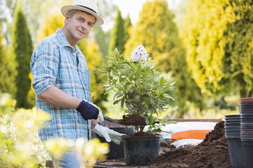 A man wearing a straw hat, a blue checked shirt, and gardening gloves is tending to a potted shrub in a well-maintained outdoor garden. The garden features a neatly prepared soil bed with dark, rich soil surrounding the newly planted shrub. In the background, there are lush green trees and a blurred natural landscape, illuminated by bright sunlight typical of a clear day in Richmond. The garden area includes a wooden table or planting area where additional pots and gardening tools are visible, indicating ongoing planting or gardening activity. The scene showcases elements of landscaping and garden maintenance, highlighting the emphasis on healthy plant growth and outdoor aesthetics, consistent with professional gardening and landscaping services in the Richmond area.