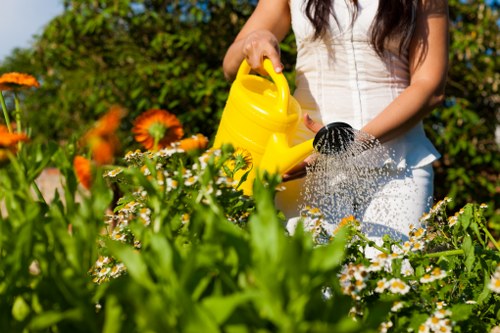 A person in a white top is actively watering a garden bed with a yellow watering can, set against a lush backdrop of green foliage, flowering plants, and a well-maintained lawn in a residential outdoor space. The garden features a mix of flowering plants with white and orange blossoms, bordered by natural soil and paved pathways. The scene is brightly lit, suggesting a sunny day, and the garden appears healthy and vibrant, reflecting ongoing outdoor maintenance by a professional gardening service such as Landscapers Richmond. The layout shows a front or backyard area with neatly arranged flower beds and lawn sections, emphasizing careful landscaping and outdoor care suited to the Richmond area.