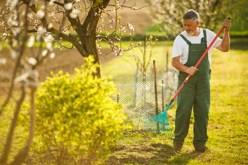 Eco-friendly hedge trimming practices with sustainable tools