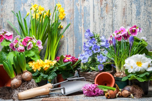 A collection of colorful flowering plants in pots and baskets, including yellow daffodils, pink primroses, purple and blue petunias, and white primroses, arranged on a rustic wooden surface against a weathered, light blue wooden background, with gardening tools such as a trowel and rake placed among the plants, suggesting outdoor gardening activity and maintenance in a garden setting near Richmond.